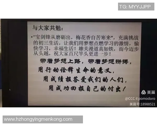 上海排球队心理素质分析与提升策略探讨 上海排球队心理素质分析与提升策略探讨