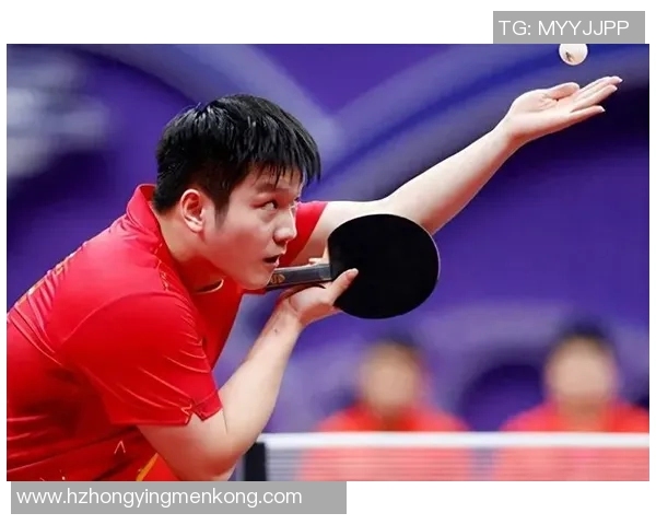 乒乓球传奇：见证北京乒乓球队奋起直追的辉煌历程与心路历程