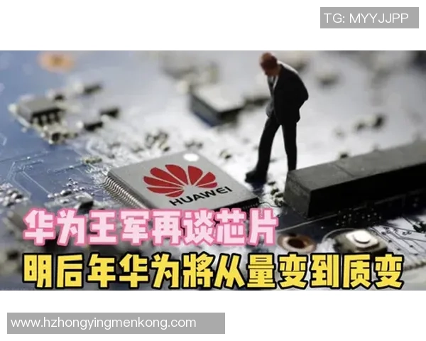 李磊畅谈CSGO职业生涯与成长历程的深度专访回顾